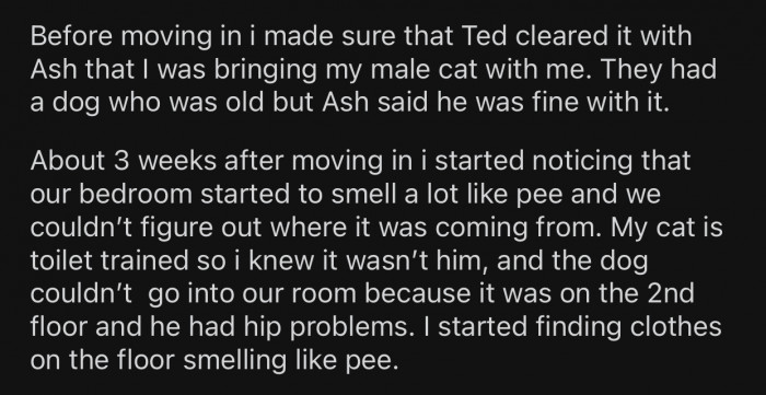 Three weeks after moving in, OP started smelling pee on her belongings.