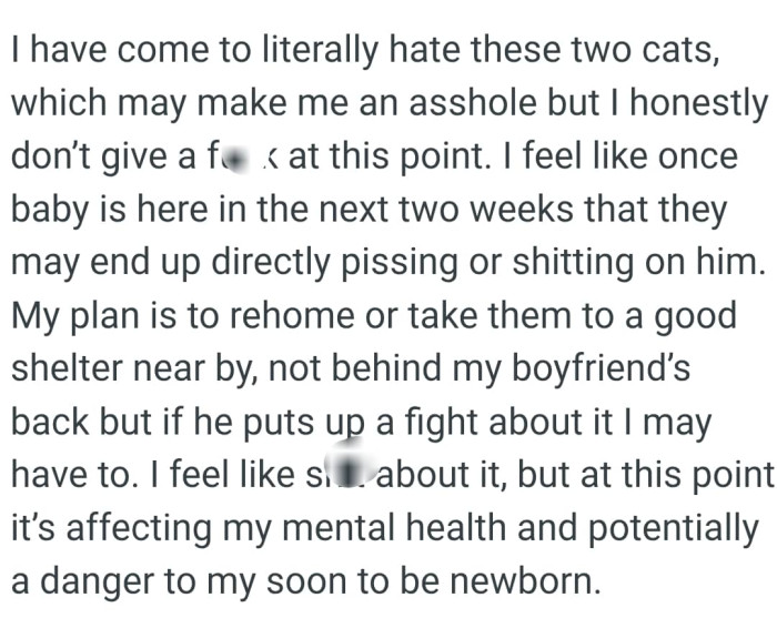 The OP's plan is to rehome or take the cats to a good shelter near by