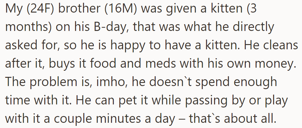 OP's 16-year-old brother, happy with his birthday kitten, is responsible but doesn’t spend much time with it.