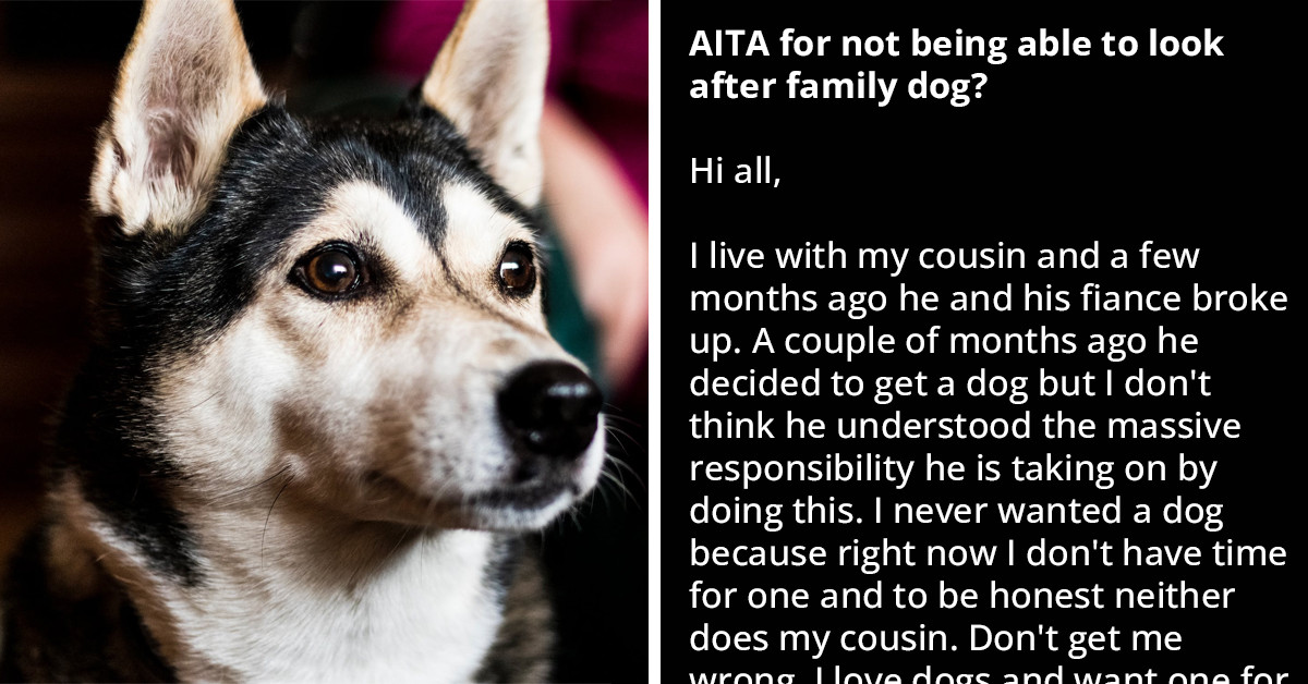 College Student Wants To Move Out Because Her Cousin, An Irresponsible Pet Owner, Dumps His Dog Care Responsibilities On Her