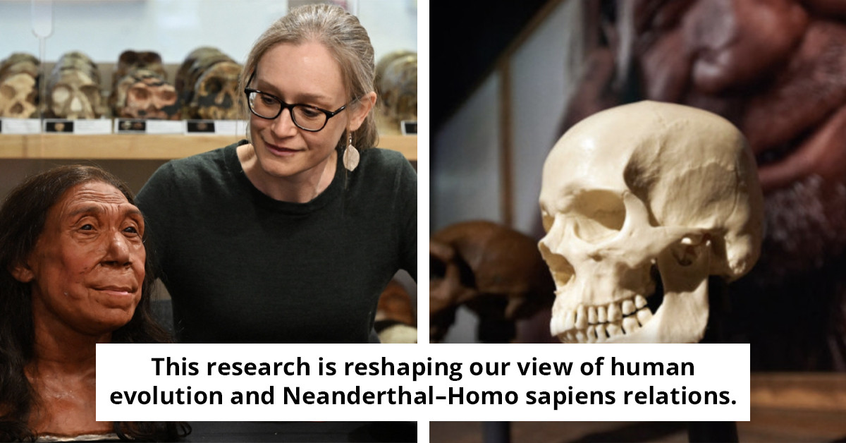 Researchers suggest Neanderthals may have endured due to a surprising factor