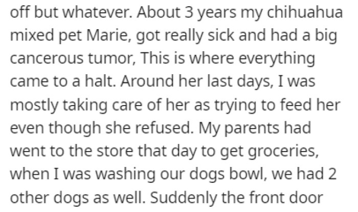OP's dog, Marie, got really sick, and she spent most of her time taking care of the poor pup during its last days
