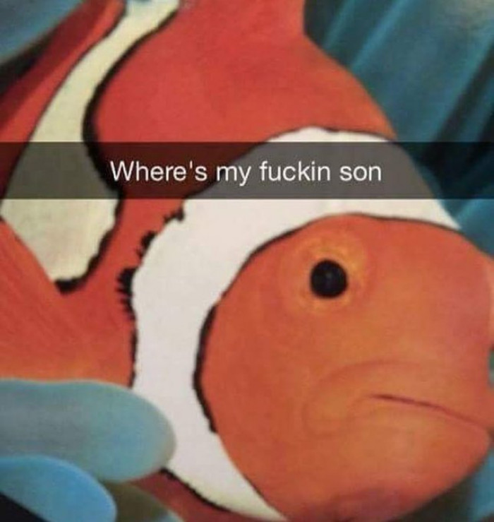 Explain the movie to me in one sentence: