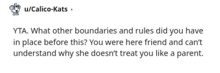 A commenter calls out the parent for a lack of boundaries and respect