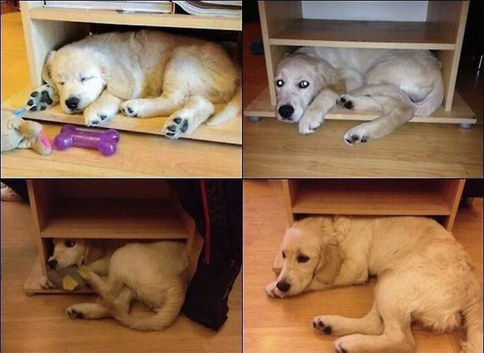 "Growing Up Is Hard"