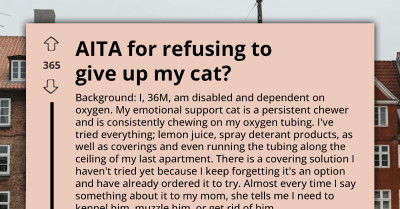 Family Pressures Disabled Man To Rehome His Cat After It Puts His Life At Risk, But This Cat Dad Is Not Budging