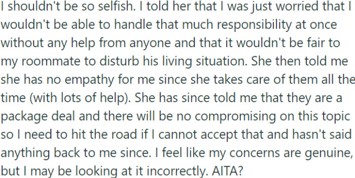 Conflict arises as OP expresses concerns about handling the responsibility of caring for his partner's children without assistance, while also considering the impact on his roommate.