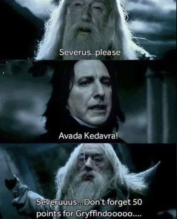 Some of the best moments happened in Harry Potter fashion.