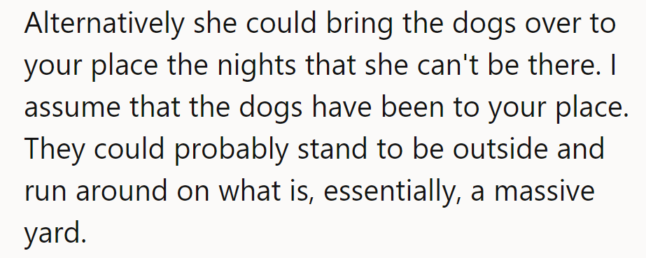 Why fetch far when the dogs can fetch fun at his place?