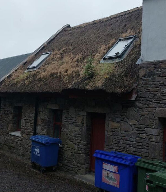 21. A Lot Going On Here