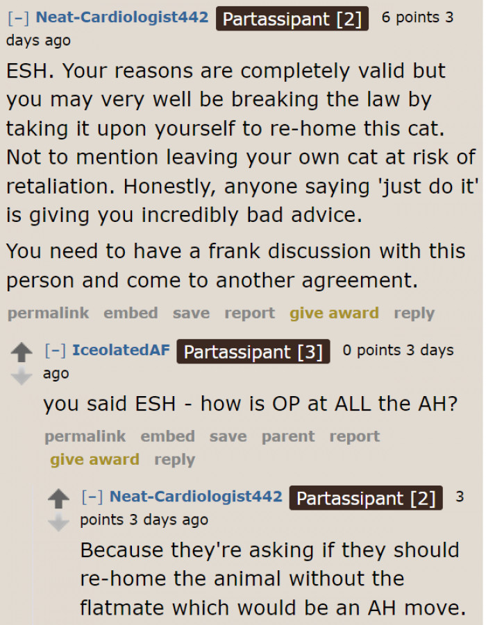 Even if the roommate is the a-hole for not caring for the cat properly, the OP would be the a-hole for taking someone else's property.