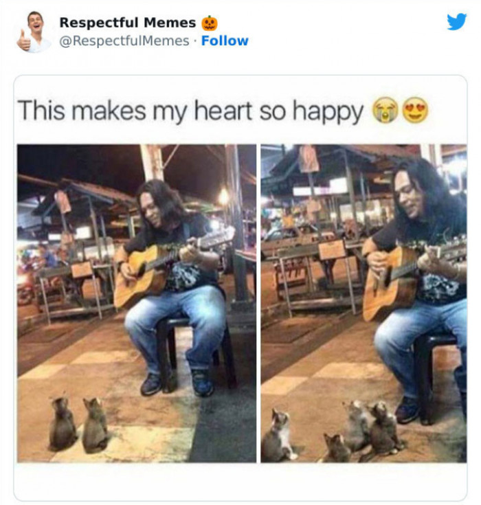 14. A Kitten Serenade