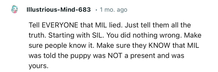 “Tell EVERYONE that MIL lied. Just tell them all the truth, starting with SIL.”