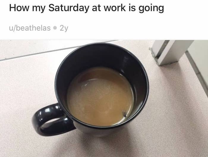 11. It's bad enough that they had to work on the weekend, but almost swallowing a fly? That's pushing it too close to the edge.