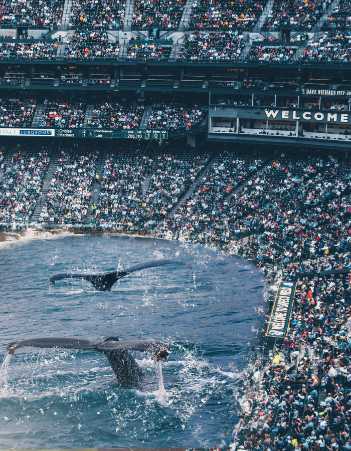 13. Don't know why, but I totally love this