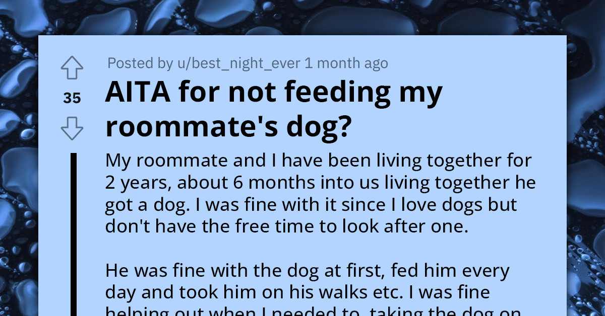Redditor Refuses To Feed Their Roommate's Dog After He Starts Neglecting The Dog Due To Mental Health Issues