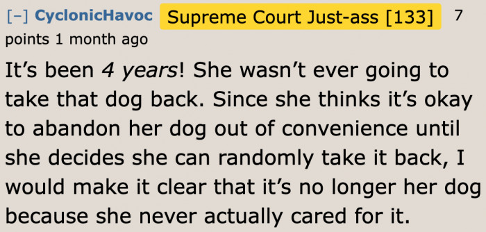 Why would the sister accuse the OP of stealing when it seems that she has no plans of getting her dogs back?