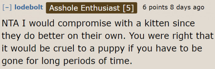 A user suggests a cat since felines are independent creatures.