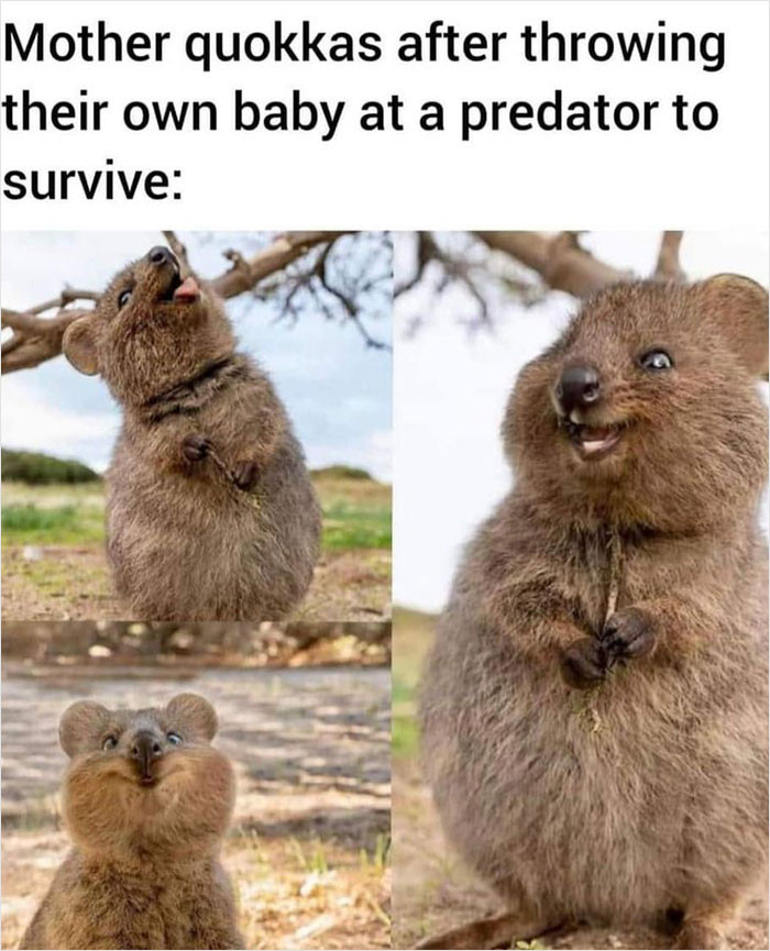 12. Someone tell me she's not smiling