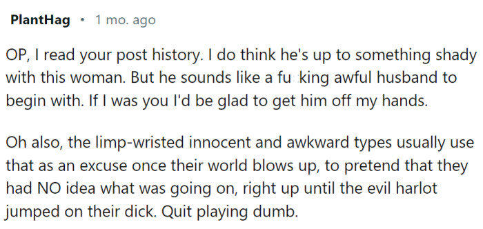 This Redditor read other posts from OP, and they say that she has a bad husband on her hands, cheater or not