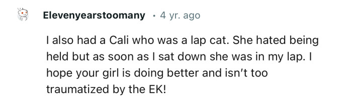 “I also had a Cali who was a lap cat. She hated being held, but as soon as I sat down, she was in my lap.”