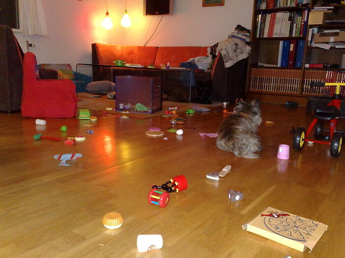 19. Believing that your child has done nothing wrong.