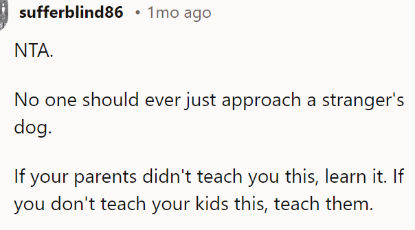 No One Should Ever Just Approach a Stranger's Dog