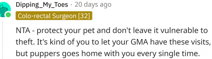 The dog goes with OP