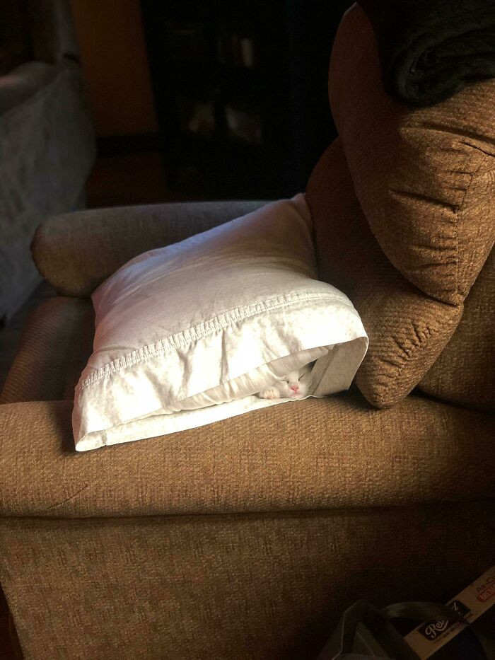 "My pillow has a surprise inside!"