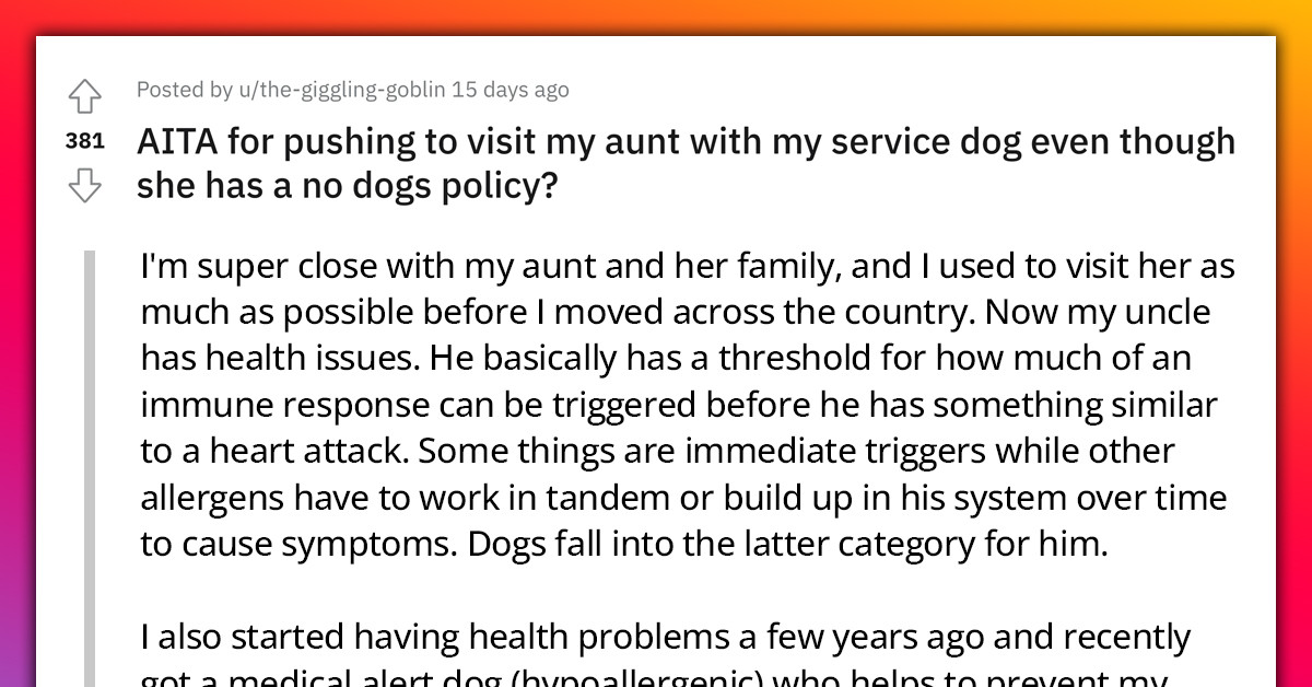 Redditor With Service Dog Upset After Their Aunt's “No Dogs Policy” Put A Stop To Their Regular Visits