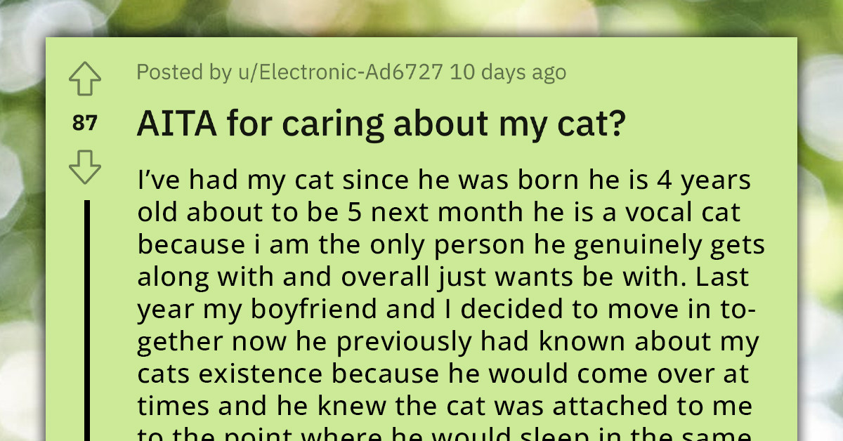 Redditor Finds Herself In Distress Because Of Boyfriend's Constant Whining About Despising Her Cat And Waiting For It To Die