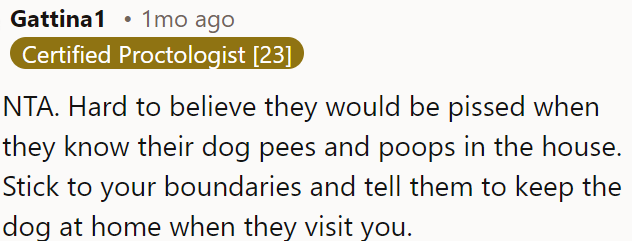 Surprisingly, they're upset when they know their dog messes in OP's house.