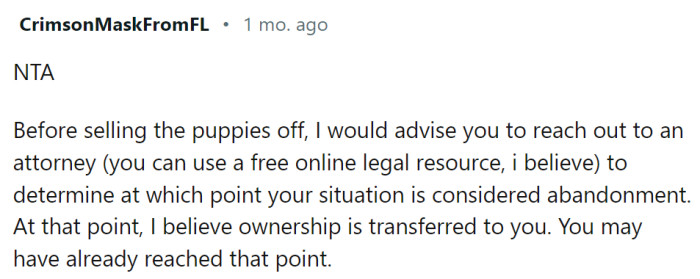 OP should contact a lawyer first