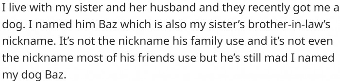 OP lives with their sister and her husband. They gifted them a dog, and OP named it Baz. However, it is the nickname of her BIL’s brother.