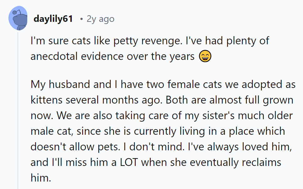 Looks like the cats are forming their own league of revenge. Watch out for their coordinated strikes!