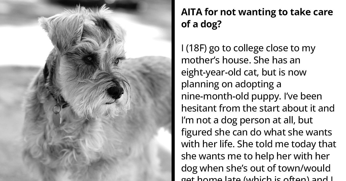 Woman Gets Criticized By Her Family Members For Refusing To Care For A Dog