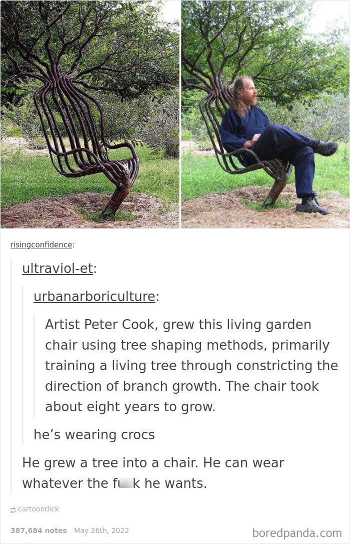 10. He grew a tree into a chair
