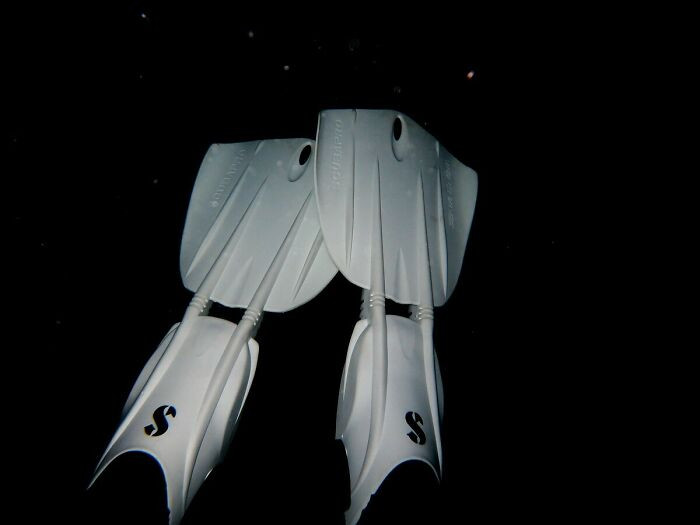 "The View Behind Me While Night Diving In The Red Sea"