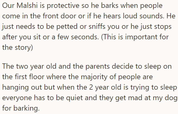 Their dog is very protective and barks occasionally, which was a disturbance to the parents of a toddler during the vacation
