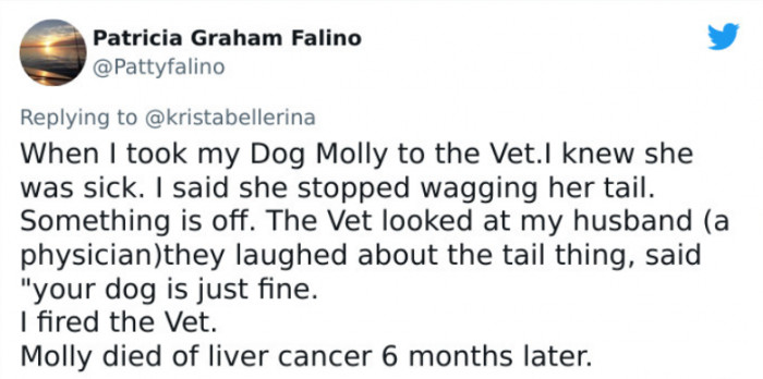 31. A vet ignored a woman's concern about their pet dog, when she turned out to be right