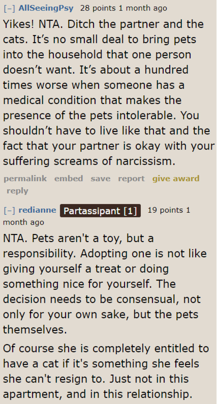 A Redditor Suspects That the Girlfriend Is a Narcissist Because She's Okay with Having the Cats While Her Boyfriend Is Suffering.