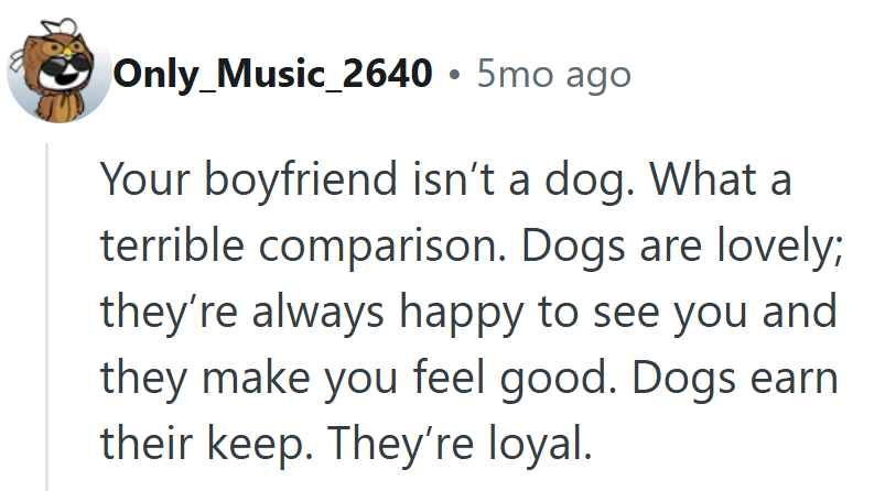 When the Dog Comparison Backfires Because, Honestly, Dogs Bring Way More to the Table.