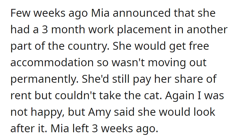 Mia announced a 3-month work placement, offering to pay rent. Unhappy, OP objected, but Amy agreed to care for Mia's cat when she left three weeks ago.