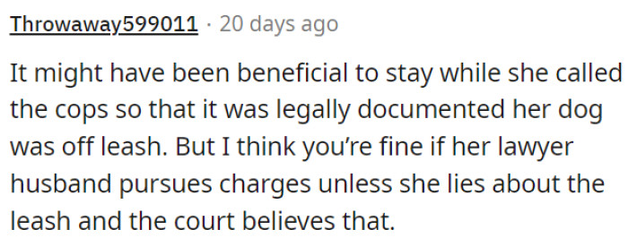 Staying to Witness the Situation and Call the Police Could Have Helped Document the Dog Being Off-Leash