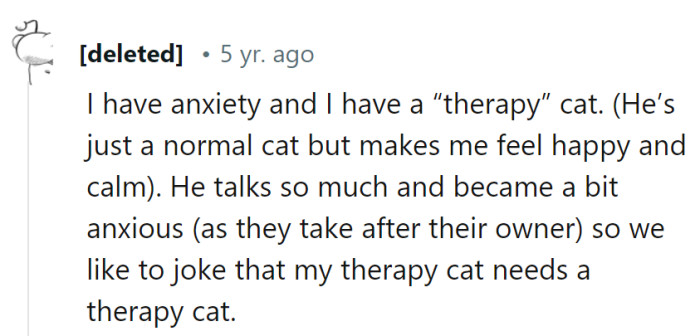 Their loquacious therapy cat is now in need of some 