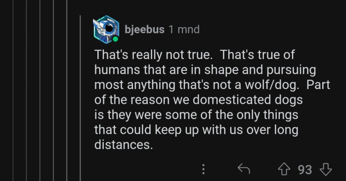 Only fit humans can keep up with a dog.