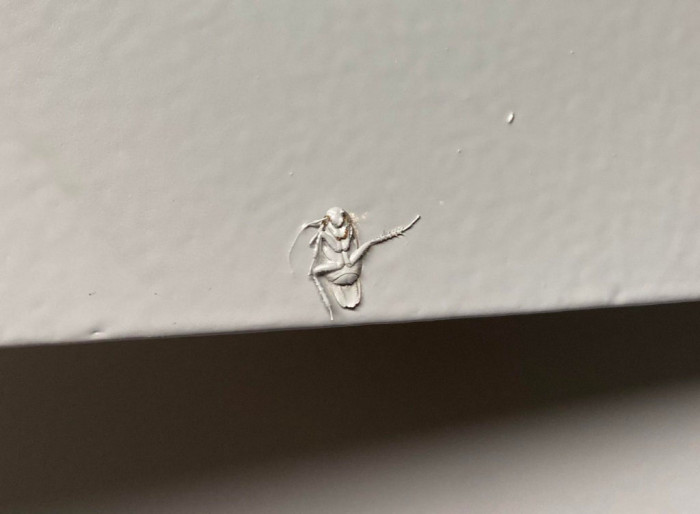 3. “Landlords—please don’t paint over cockroaches.”