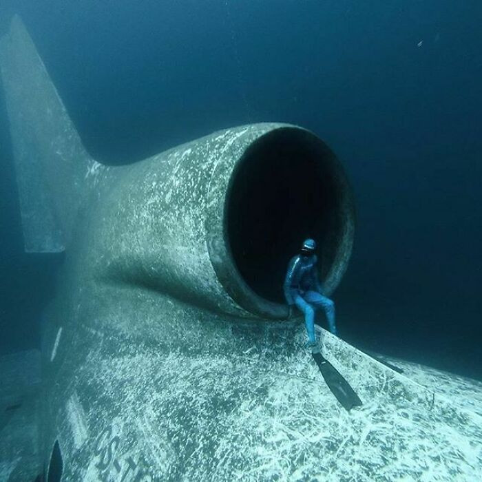 "Sitting In The Engine Of A Sunken L-1011"