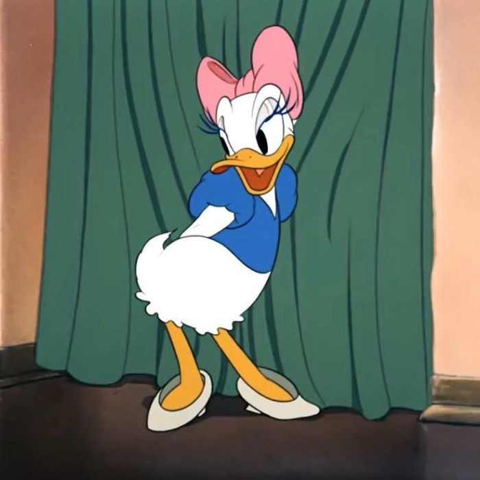 The Disney Cartoon Characters Universe