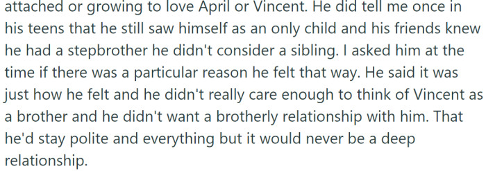 Although Vincent was excited to have a brother and never used the term 